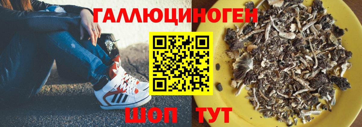 Галлюциногенные грибы мухоморы Борзя