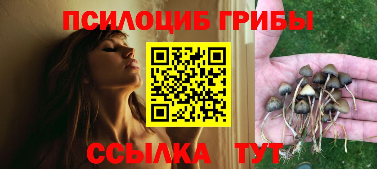 Галлюциногенные грибы GOLDEN TEACHER  Вход с VPN  Борзя 